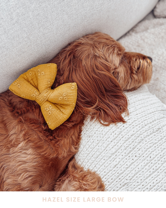 Golden Eyelet Dog Bow