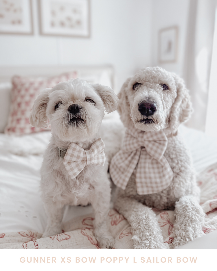 Oat Gingham Dog Bow