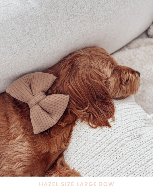 Brown Ribbed Dog Bow