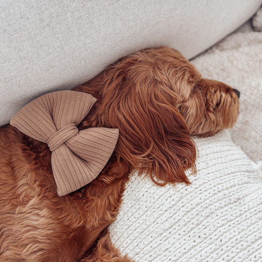 Brown Ribbed Dog Bow
