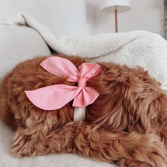 Bubblegum Pink Pinwheel Sailor Dog Bow
