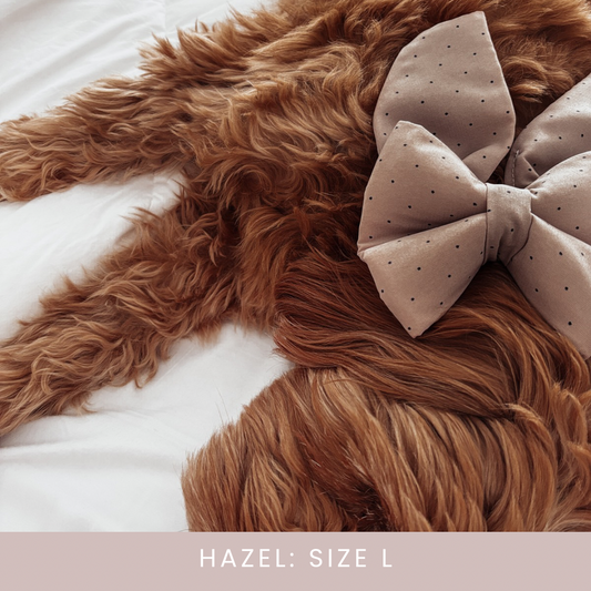 Brown Polkadot Dog Bow