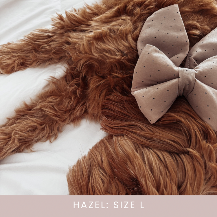 Brown Polkadot Dog Bow