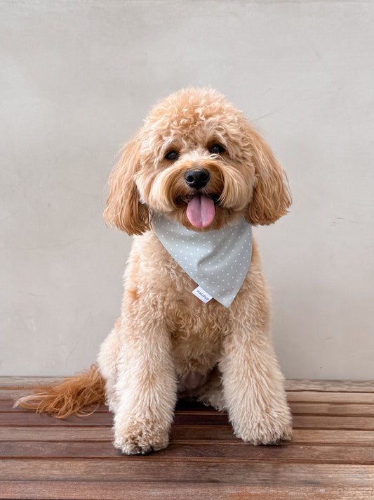Grandmas Kitchen Dog Bandana