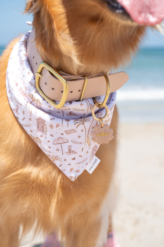 Beach Sweet Treat Dog Bandana