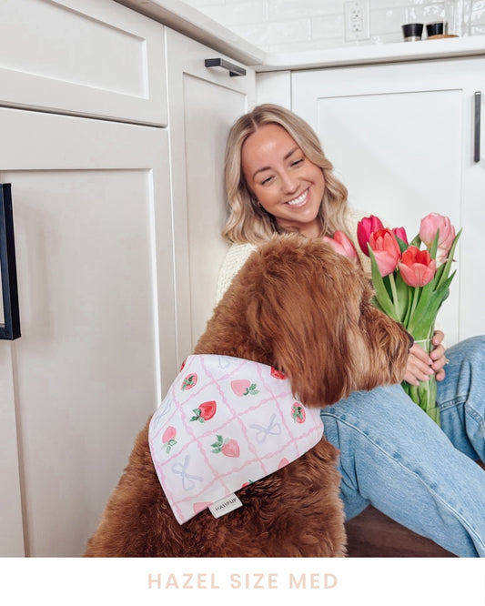 Strawberry Sundays Reversible Dog Bandana