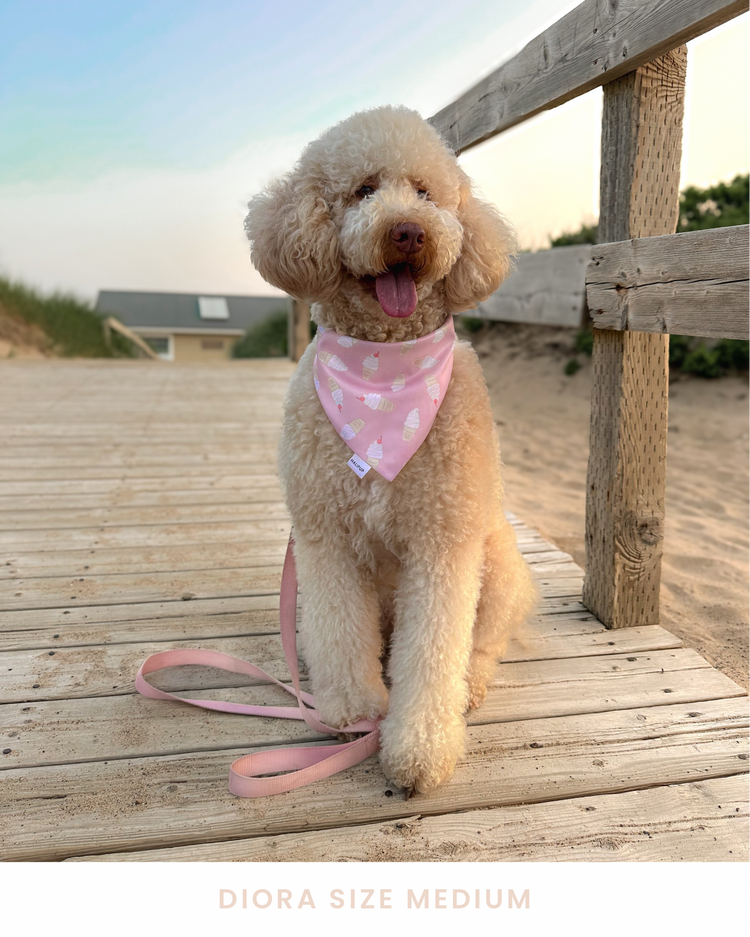 Beach Sweet Treat Dog Bandana