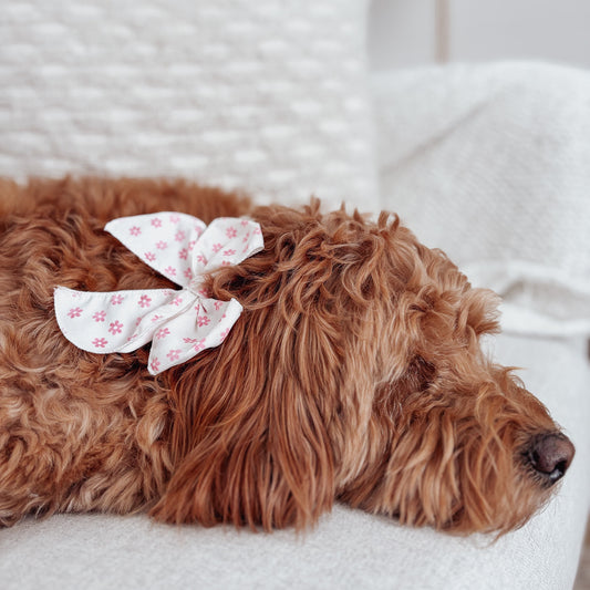 Flora Pinwheel Sailor Dog Bow