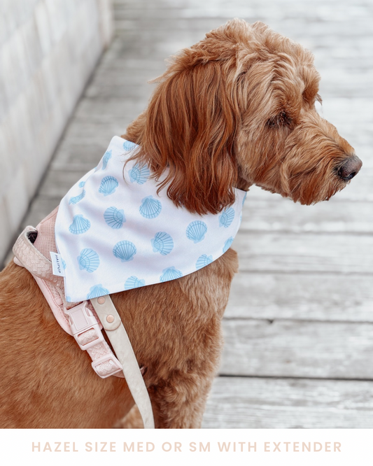Set Sail Dog Bandana