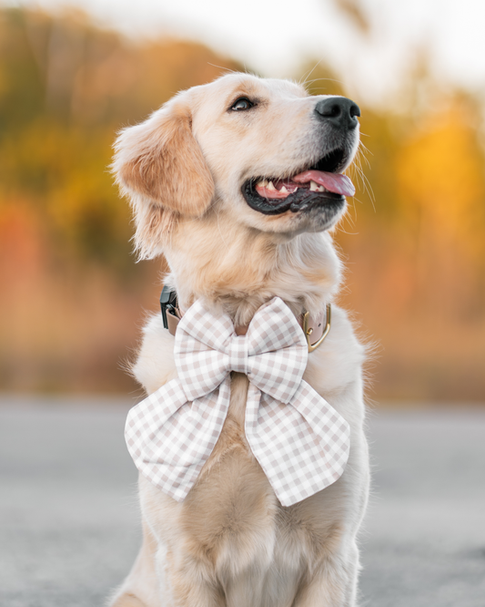 Oat Gingham Dog Bow