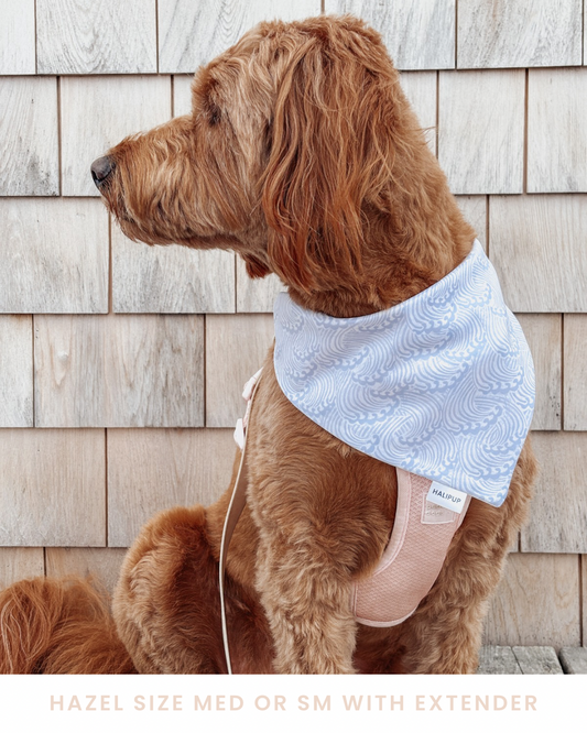 Whales & Waves Dog Bandana