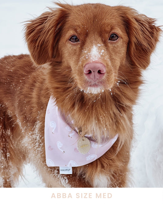 Swans & flora Reversible Dog Bandana