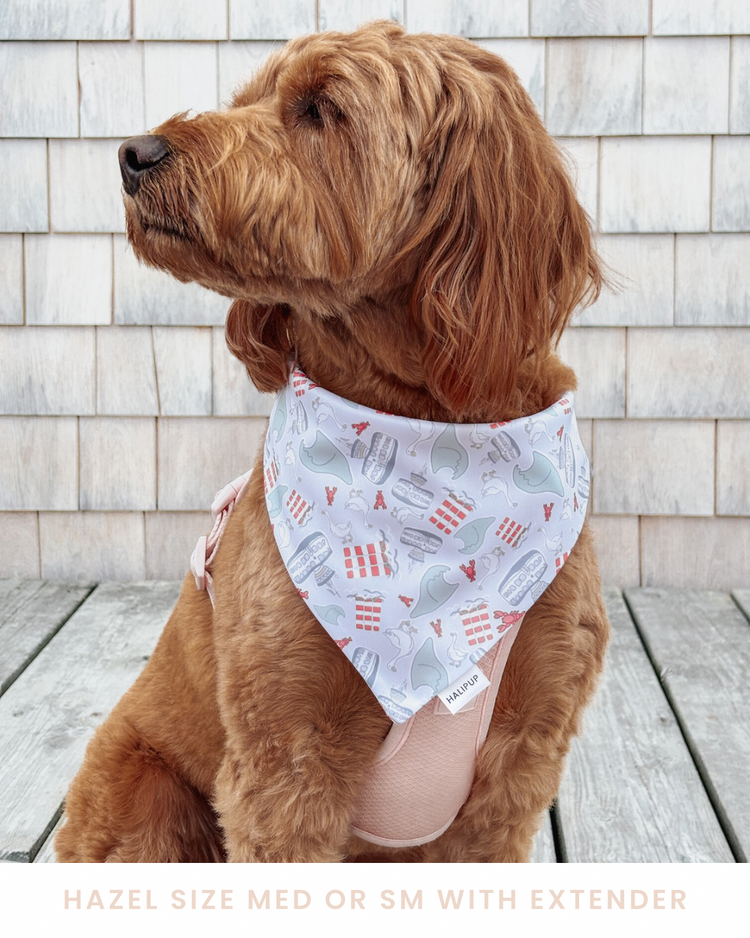 Harbour City Halifax Dog Bandana