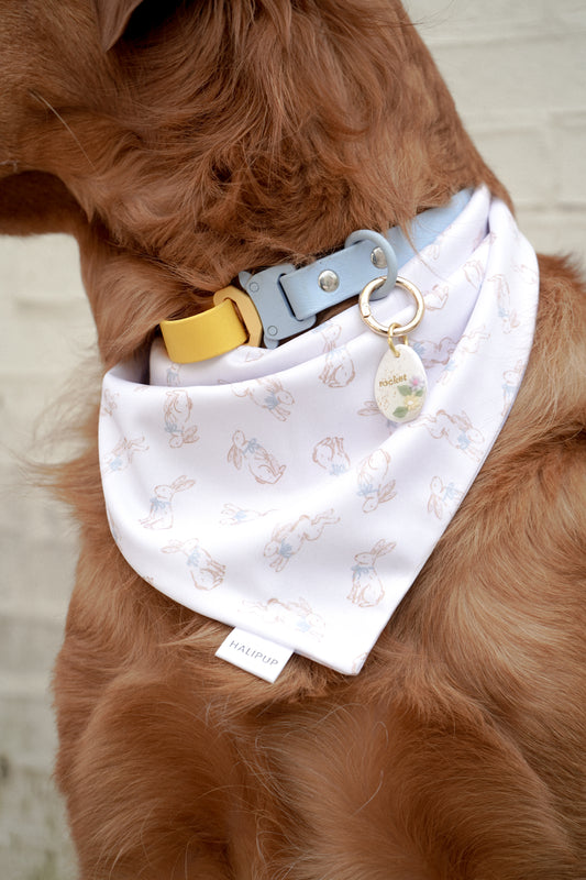 Spring Picnic Dog Bandana