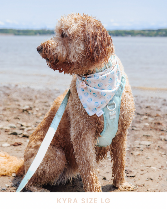 The Tropics Reversible Dog Bandana
