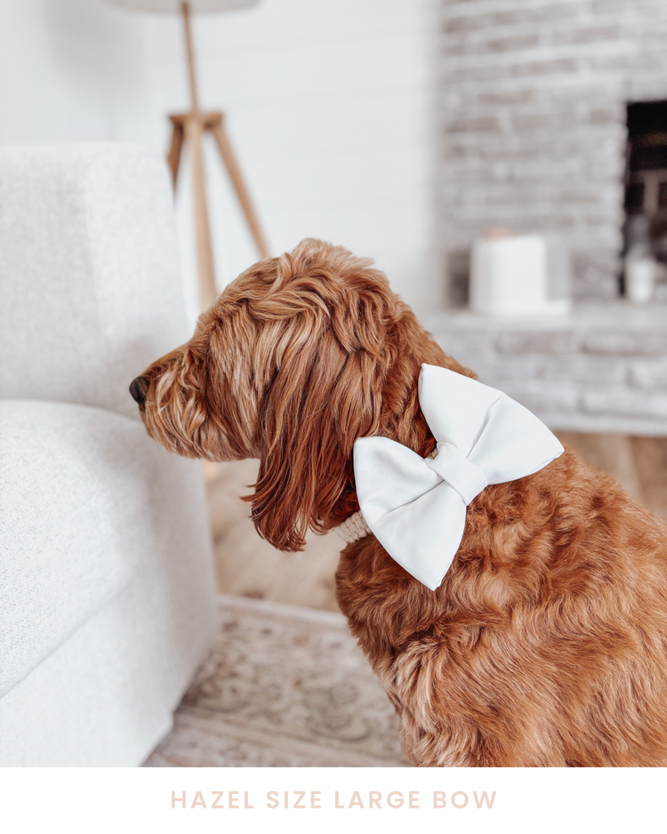 Wedding Dog Bow