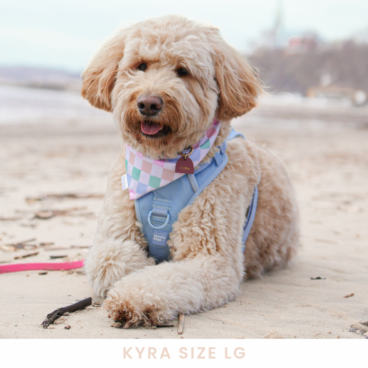 Neon Smileys Reversible Dog Bandana