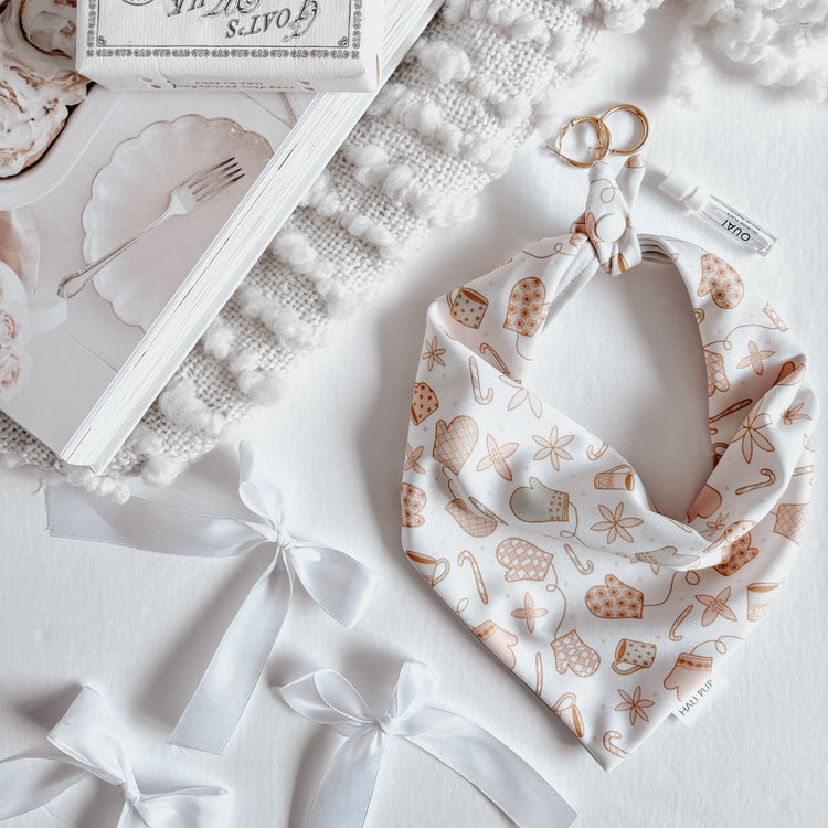 Winter Wonderland Reversible Dog Bandana