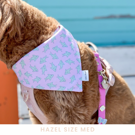 Sharks & Hibiscus Reversible dog bandana