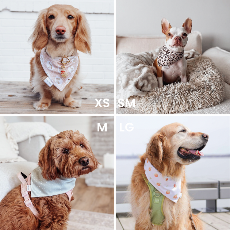 Grandmas Kitchen Dog Bandana