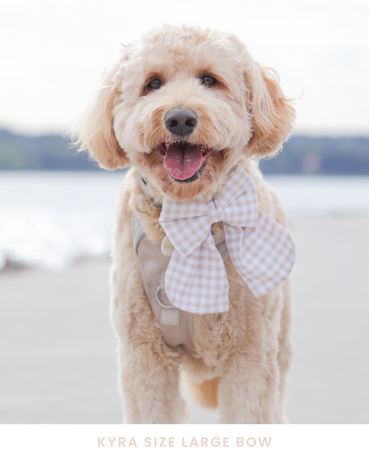 Oat Gingham Dog Bow