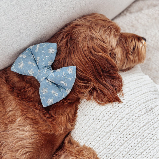 Denim Eyelet Dog Bow