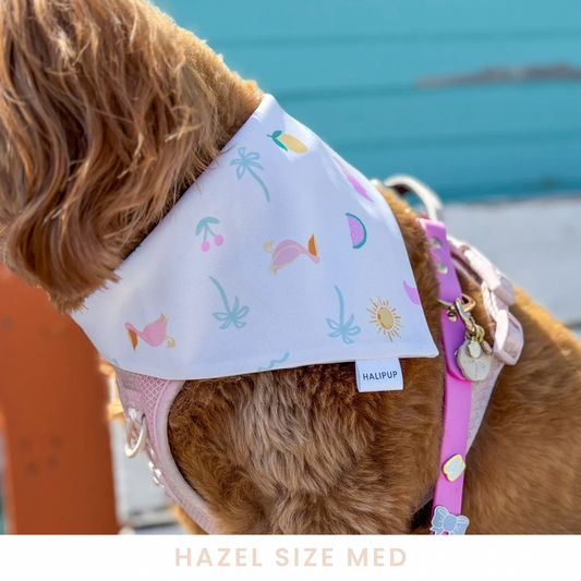Cheeky Summer Reversible dog Bandana
