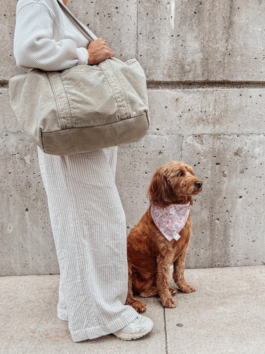 Fall Flora & Pumpkins Dog Bandana