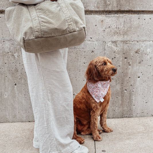 Woman in fall outfit with dog wearing a flower bandana
