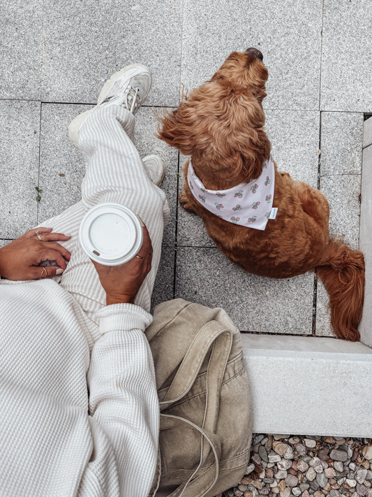 Hillside Harvest Dog Bandana