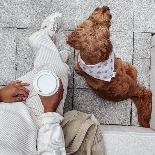 Person sitting on a bench with a dog wearing a tractor bandana, drinking a coffee