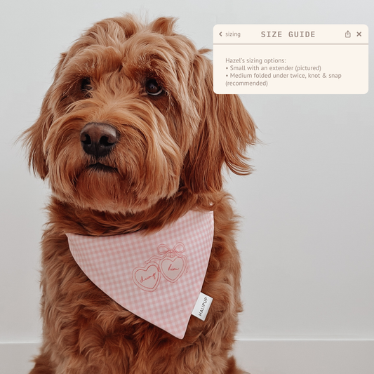 Dog wearing gingham pink bandana with locket "dump him" in cursive font