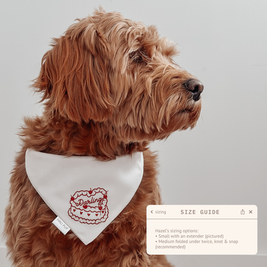 Dog in bandana with cherry cake cursive font "darling" retro sketched design