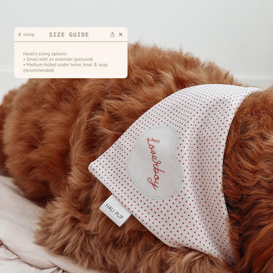 Dog in "loverboy" polkadot striped bandana with retro scalloped heart image