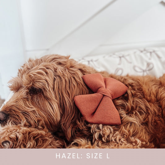 Rust Ribbed Dog Bow