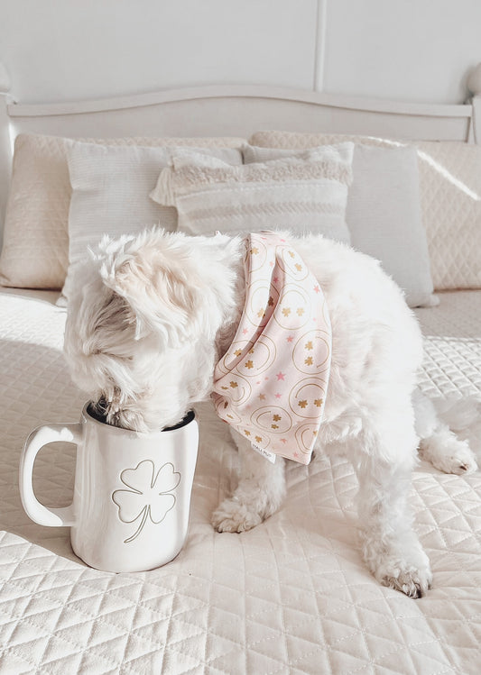 Lucky Smileys Reversible Dog Bandana