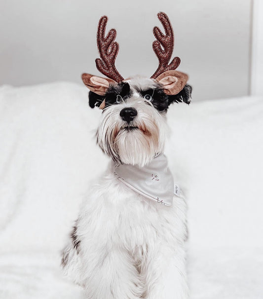 Snowmen & Gifts Reversible Dog bandana