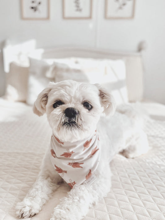 Woodland Bears & Snowflakes Dog Bandana