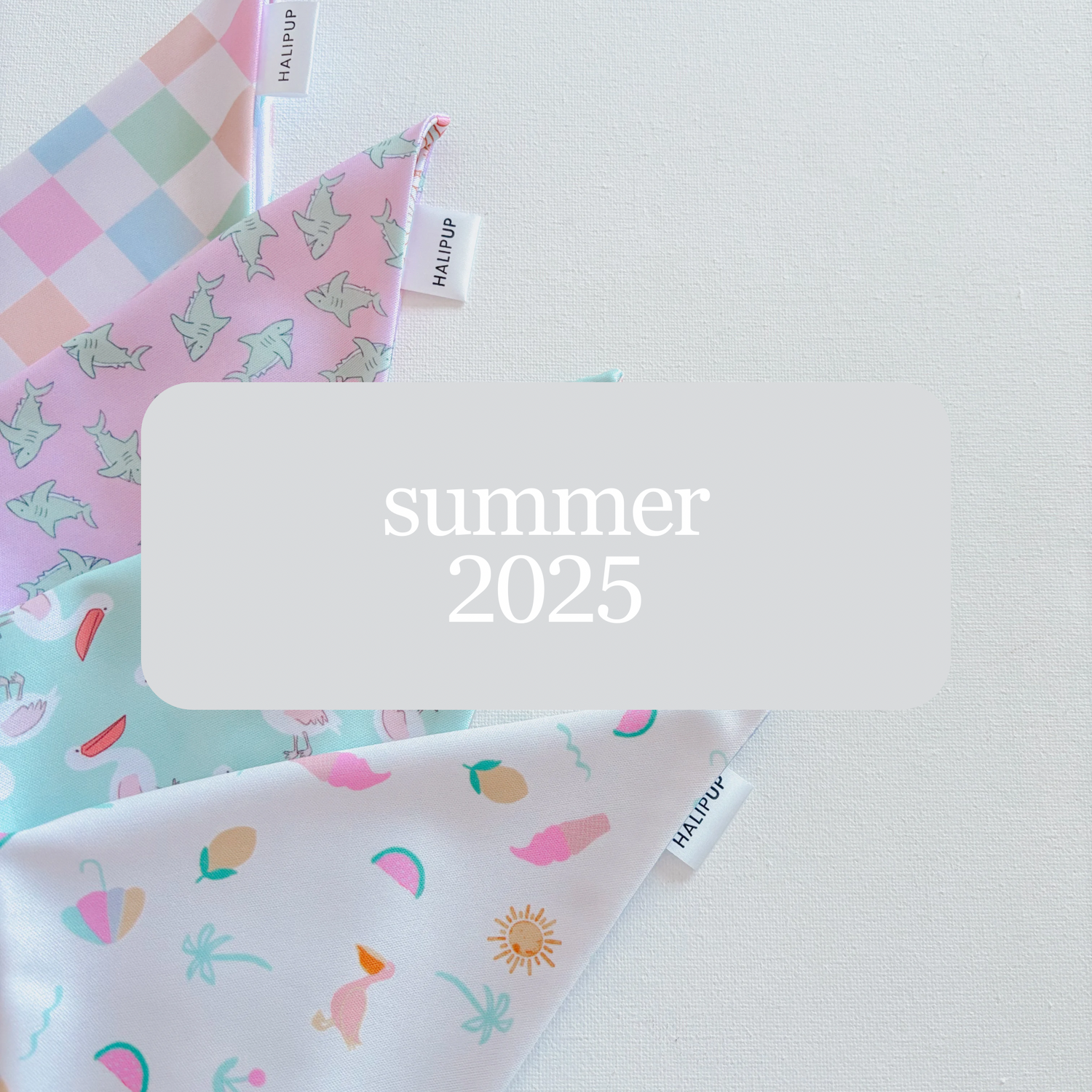 SUMMER 2025