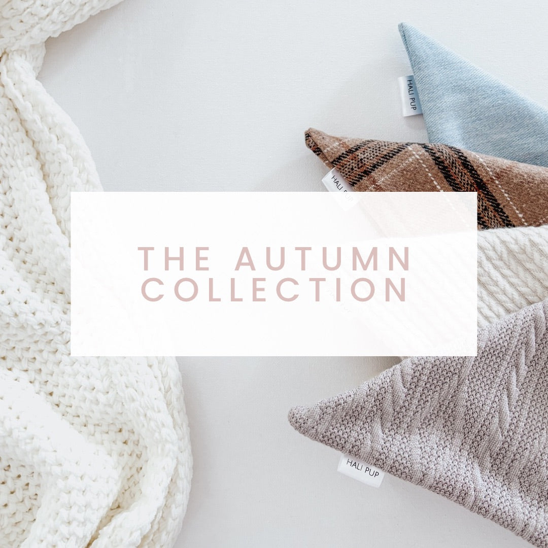 The Autumn Collection