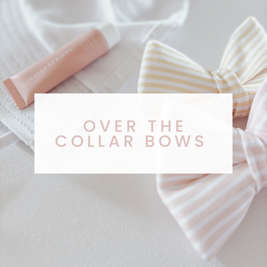 Over The Collar Dog Bows
