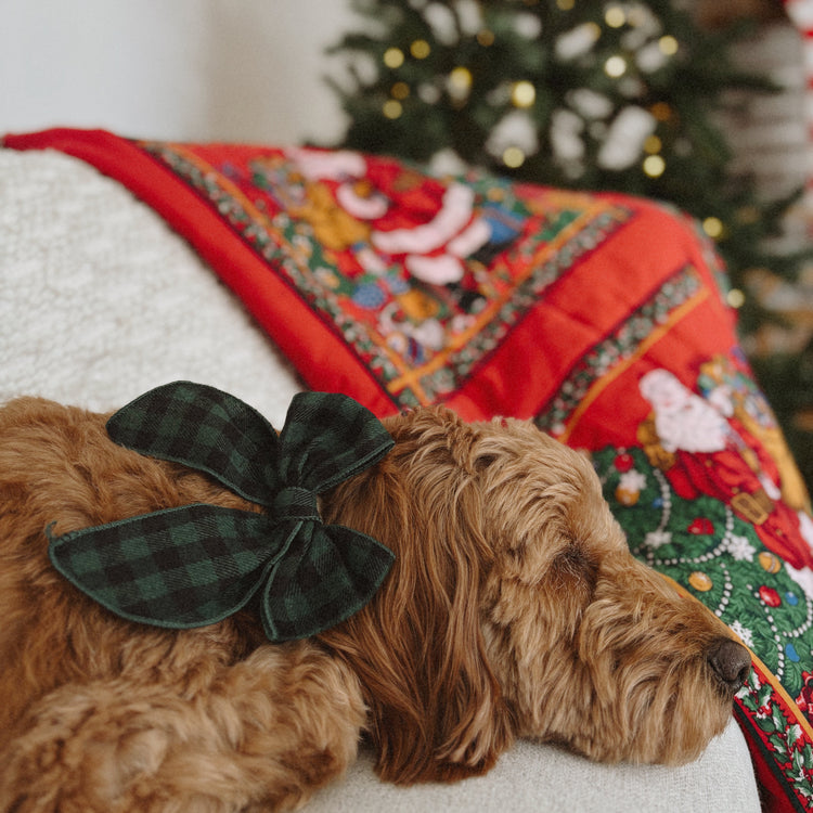 Evergreen Buffalo Plaid Dog Bow