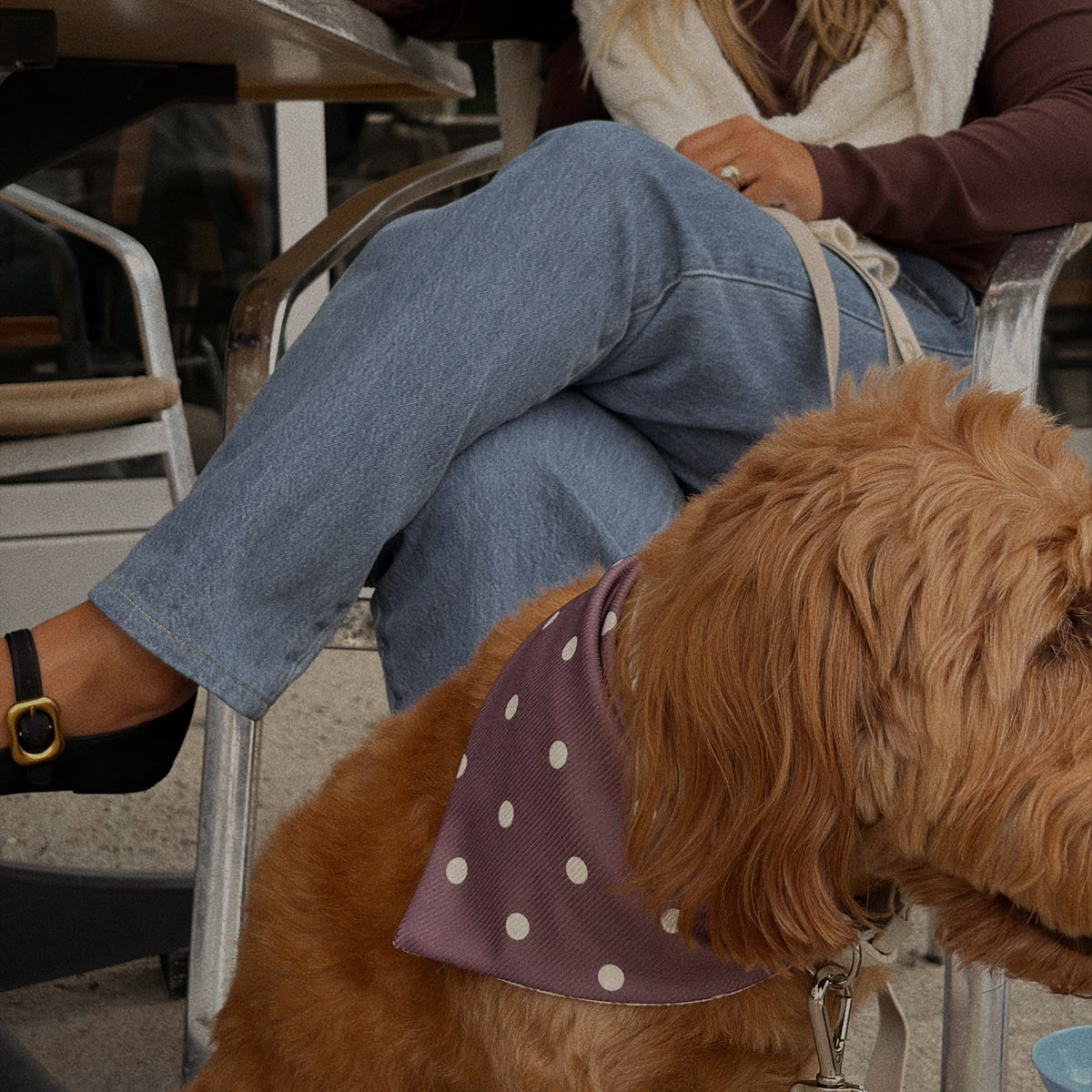 MINOR FLAW Coffee Club Ribbed Dog Bandana