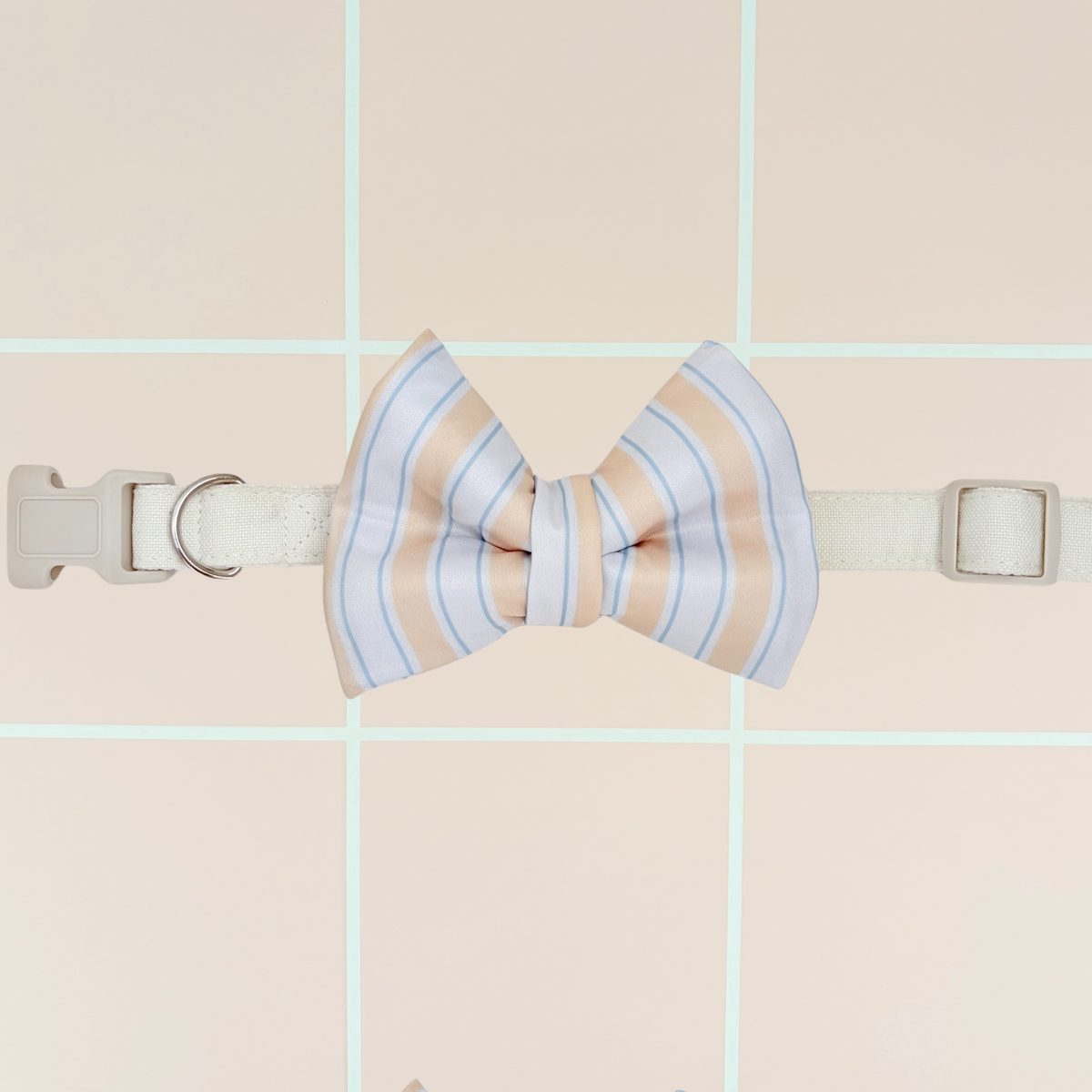 Capri Coast Classic Dog Bow
