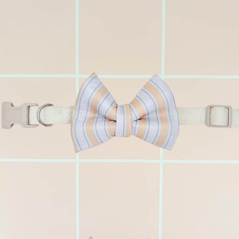 Capri Coast Classic Dog Bow