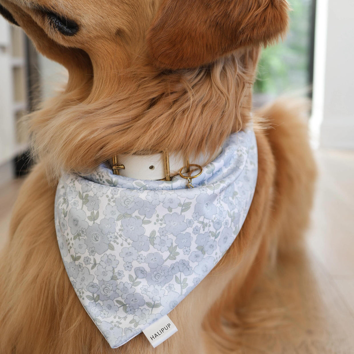 The Lilia Dog Bandana