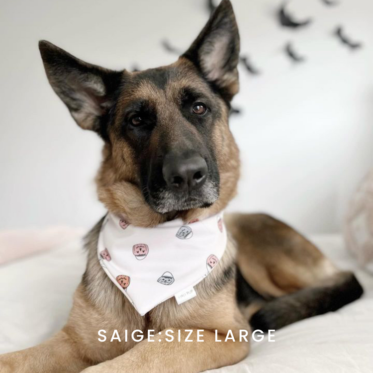 Trick Or Treat With Reversible Jack O Lanterns Dog Bandana