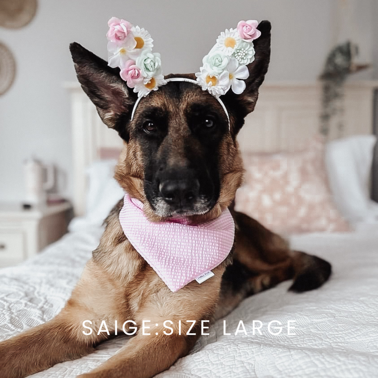 Pink Stripe Seersucker Dog Bandana