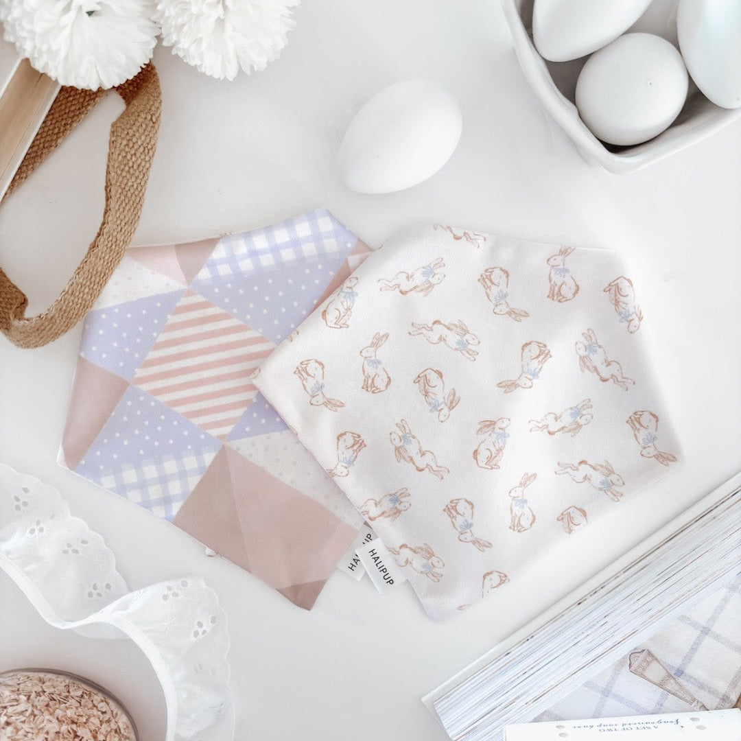 Spring Picnic Dog Bandana