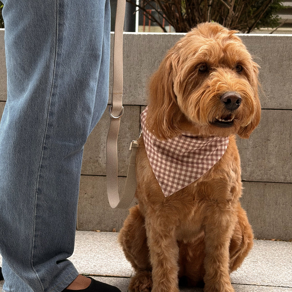 MINOR FLAW The Margot Ribbed Dog Bandana
